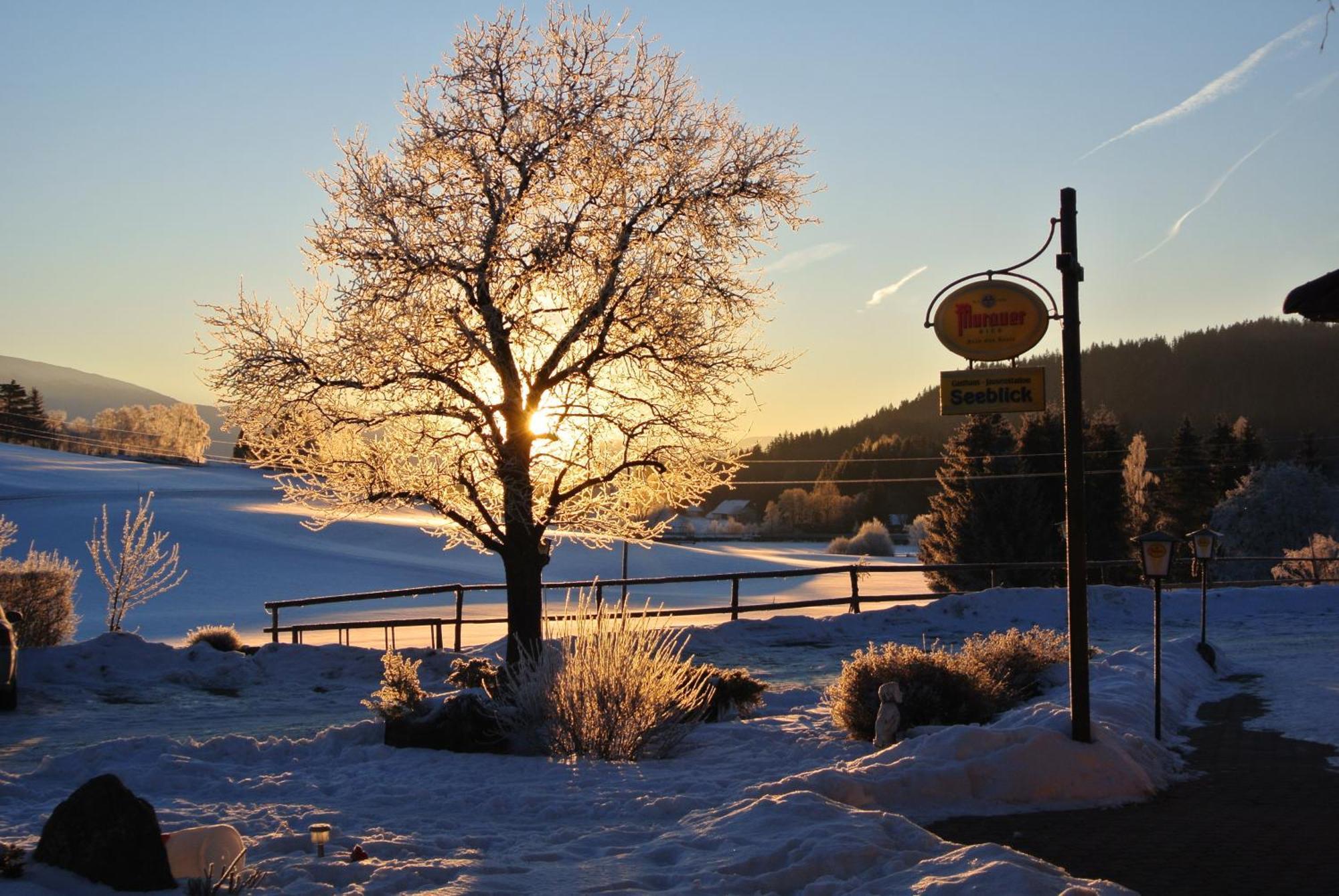 Hotel Gasthof Seeblick Zeutschach Εξωτερικό φωτογραφία